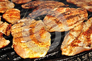 Close up of a grilled chicken breast