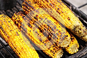 Close up of grilled corn