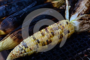 Close-up grilled corns