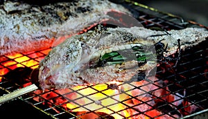 Close up grilled fresh fishs with salt, Delicious fresh fish at countryside in holiday, healthy food.