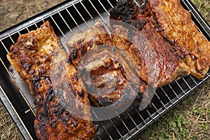 Close Up Grilled Rack Of Pork Ribs. Meat Barbecue In Camping Park, Forest. Meat On Metal