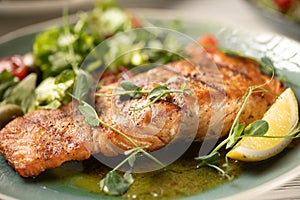 Close-up of grilled salmon fillet served with vegetables and sauce