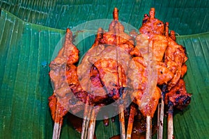 Close up Grilled spicy chicken with a delicious chili sauce on the banana leaf, Local food in southern Thailand