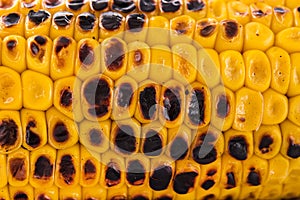 Close up of Grilled sweet corn