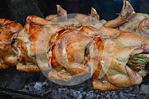 Close up grilled whole chicken on stove