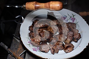 Close-up of grilling tasty dish on barbecue. Process of cooking yummy shashlik in nature. Delicious food