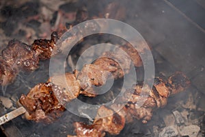 Close-up of grilling tasty dish on barbecue. Process of cooking yummy shashlik in nature. Delicious food