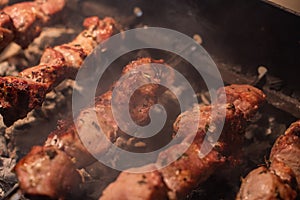 Close-up of grilling tasty dish on barbecue. Process of cooking yummy shashlik in nature. Delicious food