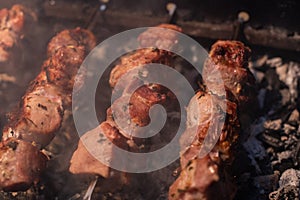 Close-up of grilling tasty dish on barbecue. Process of cooking yummy shashlik in nature. Delicious food