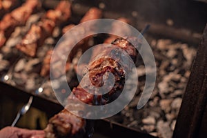 Close-up of grilling tasty dish on barbecue. Process of cooking yummy shashlik in nature. Delicious food