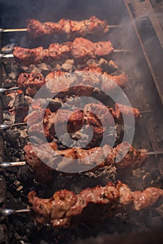 Close-up of grilling tasty dish on barbecue. Process of cooking yummy shashlik in nature. Delicious food