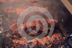 Close-up of grilling tasty dish on barbecue. Process of cooking yummy shashlik in nature. Delicious food