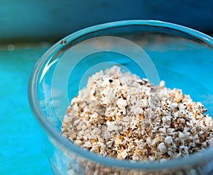 Close-up of ground nuts