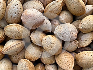 Close-up of group of almond nuts as background