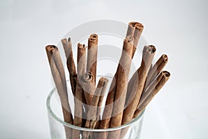 Close up of group cinnamon stick (Cinnamomum verum) in a glass on white background