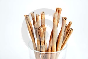 Close up of group cinnamon stick (Cinnamomum verum) in a glass on white background