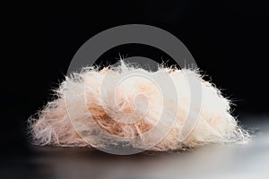 A close-up of a group of dog hair, after shearing, shows the texture and color of dog hair