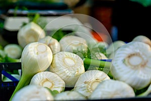 Close Up of Group of Fresh Fennels at the Italian market