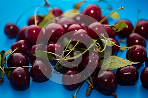 Close-up of a group of ripe fresh cherries on a blue background