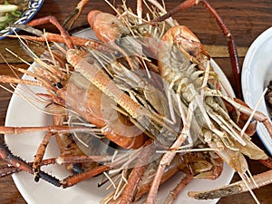 Group shrimp grilled on white digh