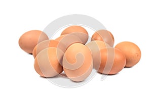 Close up group of ten eggs isolated on white background. Brown eggs cut out. Easter