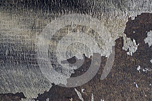 Close up of grunge vintage textured abstract grey background 4