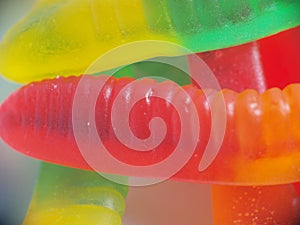 Close-up of Gummi Worms