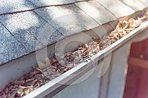 Close-up gutter clogged by dried leaves and messy dirt need clean-up