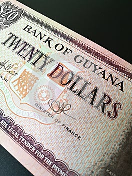Close up of Guyanese dollar