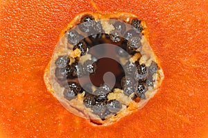 Close-up of haft papayas with black seeds.