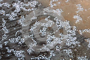 Close up of hailing, selective focus on small hail balls