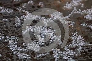 Close up of hailing, selective focus on small hail balls