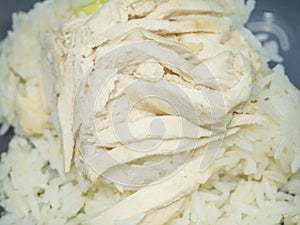 Close up hainanese chicken rice or steam chicken rice