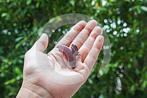 Close up hair clip on woman left hand