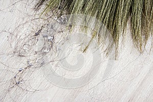 Close up hair and dust