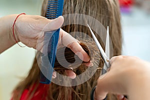 Close up of hairdresser hands cutting brown hair at home. Professional stylist trimming hair split ends