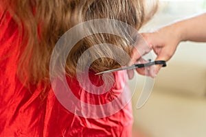 Close up of hairdresser hands cutting brown hair at home. Professional stylist trimming hair split ends