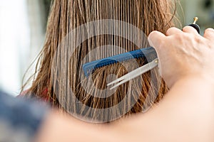 Close up of hairdresser hands cutting brown hair at home. Professional stylist trimming hair split ends