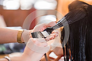 Close up of hairdresser woman applying hair care with a comb her client. health