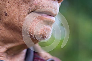 Close-up of a half-face senior man with a nature background. Concept of aged people and healthcare