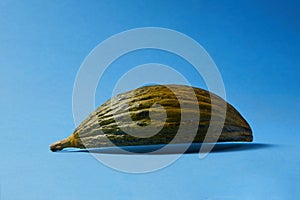 Close up of half melon