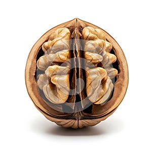 Half Walnut Shell Isolated on White Background