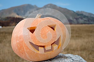 Close up of Halloween Carved Pumpkin on the stone on the nature