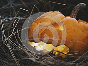 Close up Halloween pumpkin head jack lantern