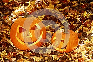 Close up of halloween pumpkins on leaves