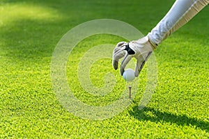 Close up hand asian sporty woman putting golf ball on tee with club in golf course on evening on time for healthy sport. Banner an