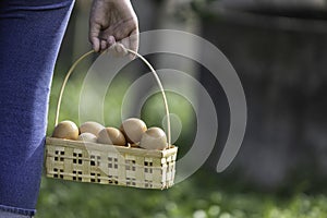 Close-up of the hand of a girl carrying a basket of eggs