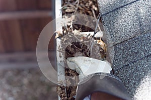 Close-up hand in gloves cleaning dried leaves from gutter in America