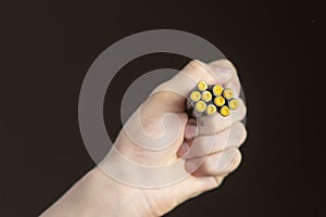 close up hand hold cracker and fire it on dark background isolated f