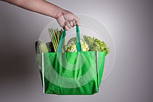 close up hand holding green grocery bag of mixed the organic green vegetables , healthy organic green food shopping and diet heal